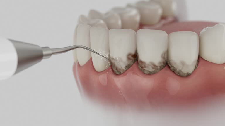 Reliable Dental contractor in Warrington, FL by Dentist Open Now